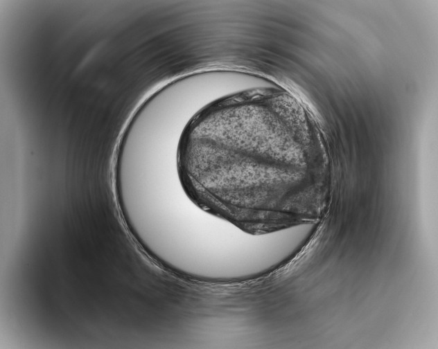 X0000093170854200710171227