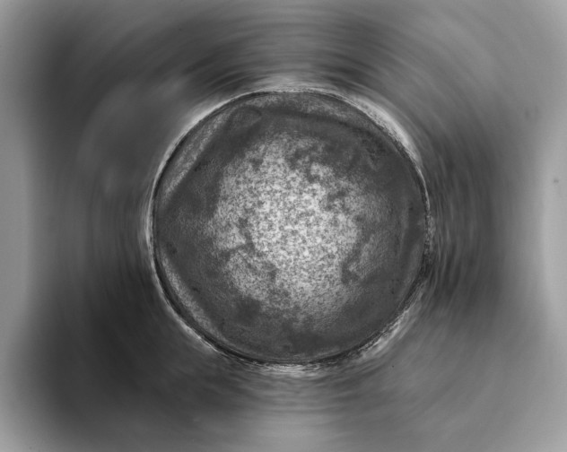 X0000093170855200710171227