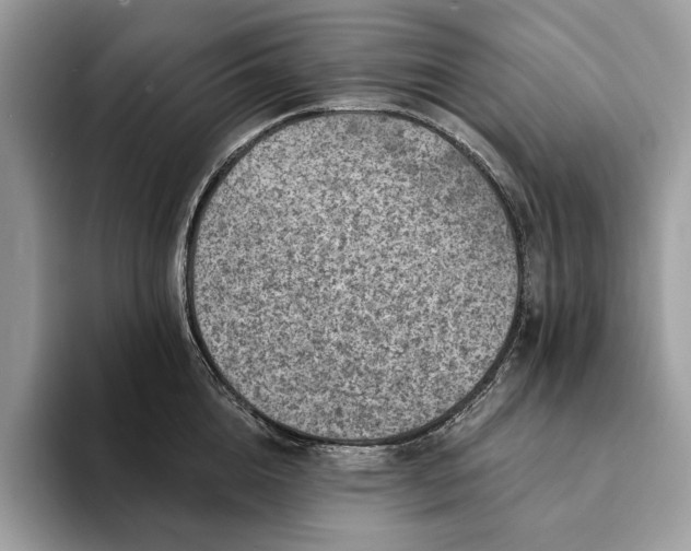 X0000093170856200710171227