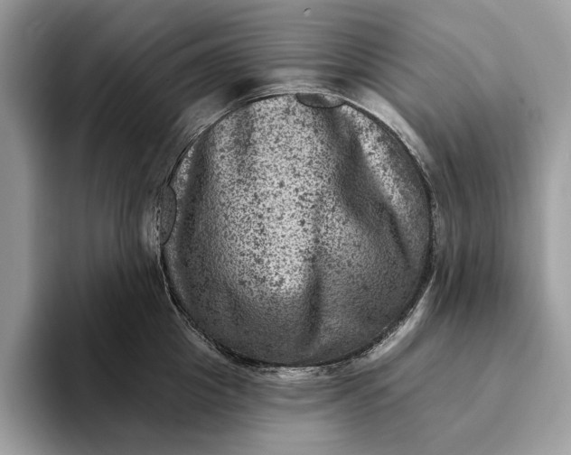 X0000093170857200710171227