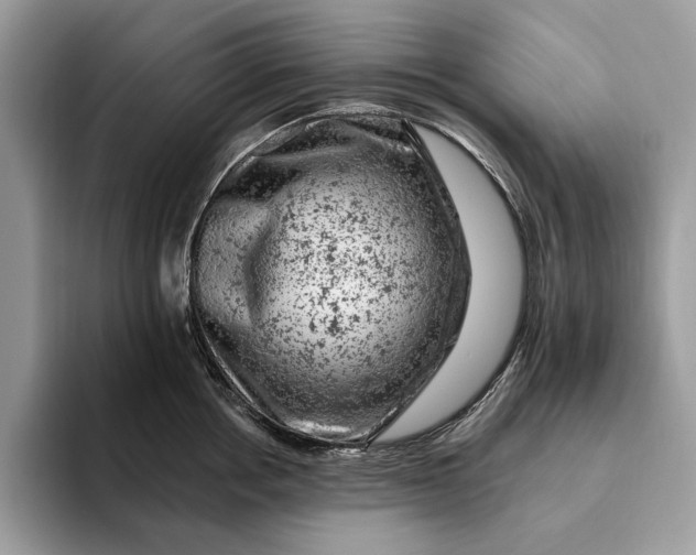 X0000093170858200710171227