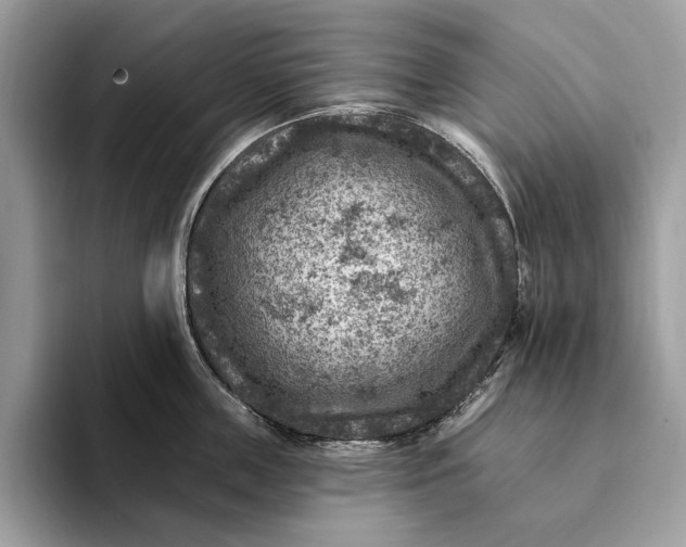 X0000093170859200710171227