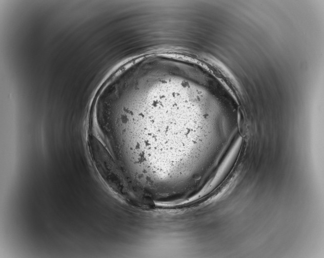 X0000093170860200710171227