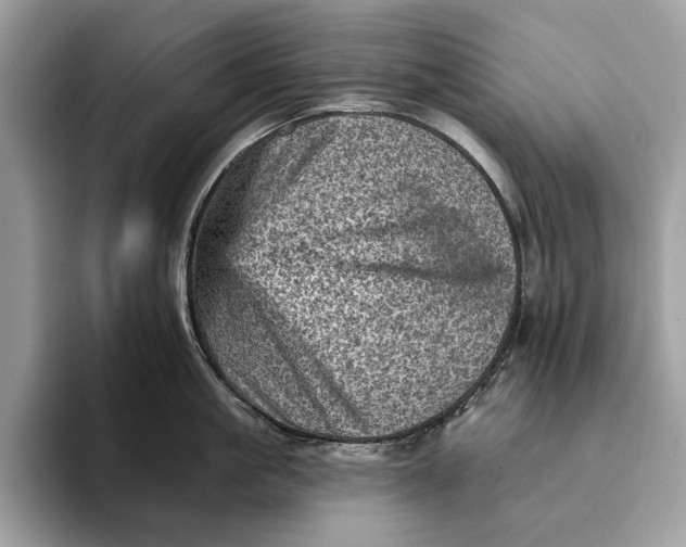 X0000093170861200710171227