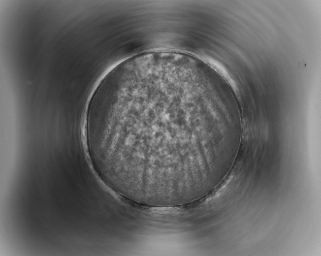 X0000093170863200710171227