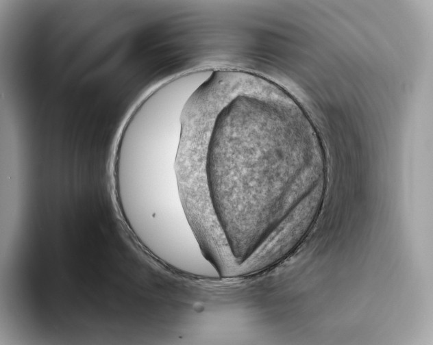 X0000093170864200710171227