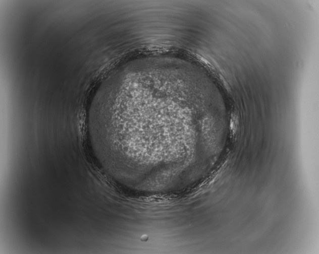 X0000093170867200710171226