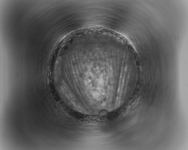 X0000093170871200710171226