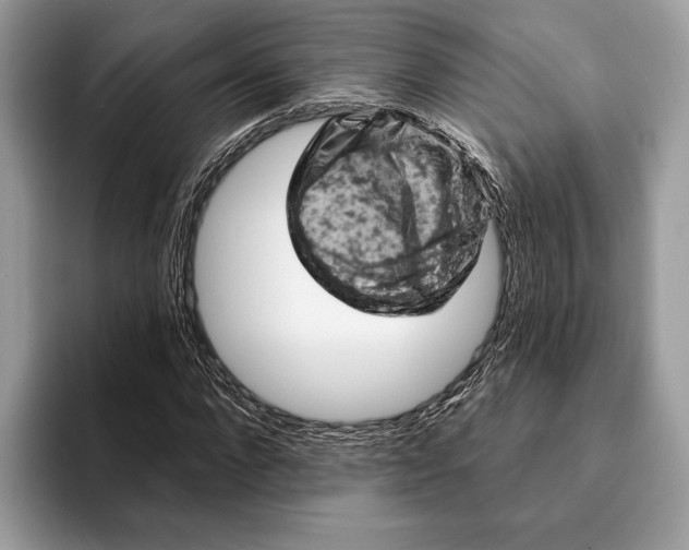 X0000093170872200710171226