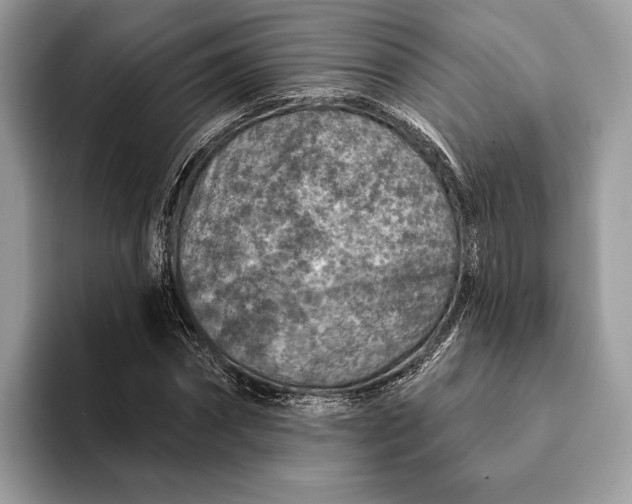 X0000093170874200710171226