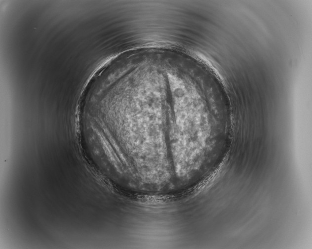 X0000093170875200710171226