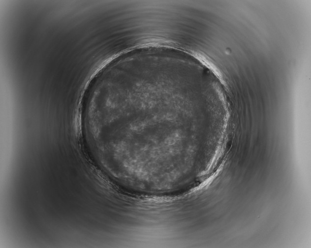 X0000093170877200710171226