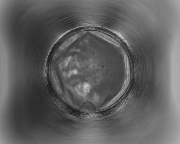 X0000093170879200710171226