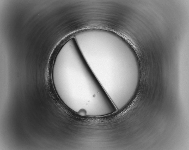 X0000093170880200710171226