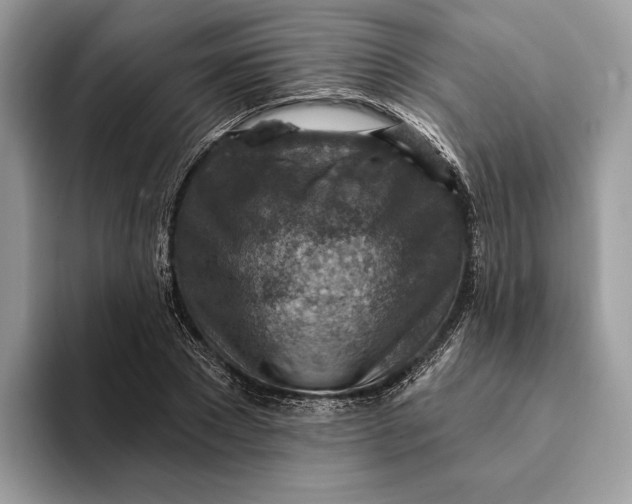 X0000093170881200710171226