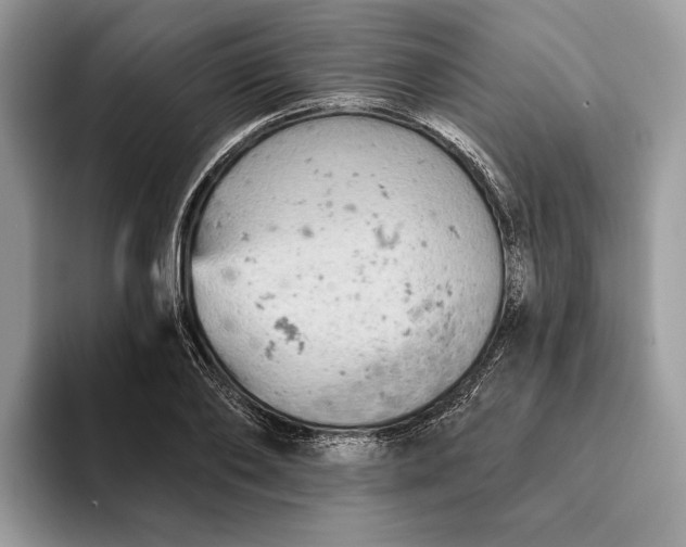 X0000093170886200710171226