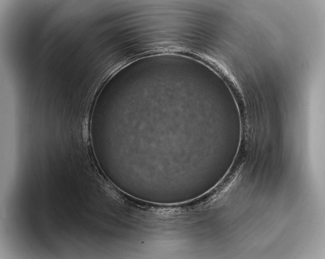 X0000093170889200710171226