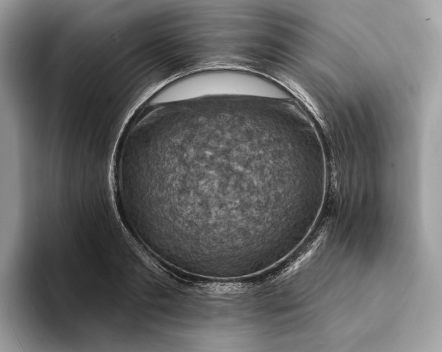 X0000093170893200710171226