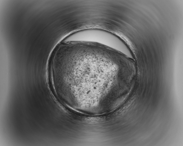 X0000093170894200710171226