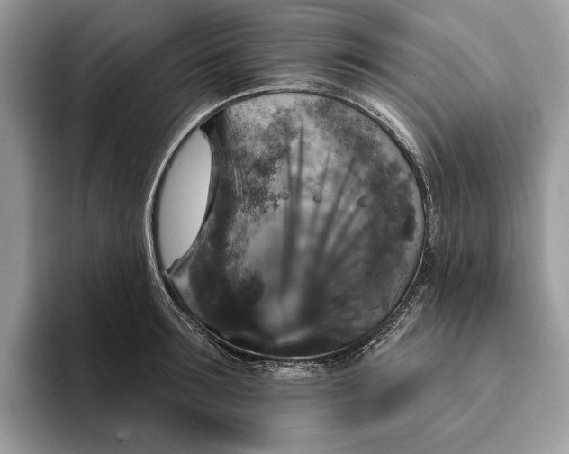 X0000093170899200710171226