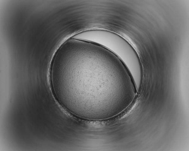 X0000093170901200710171226