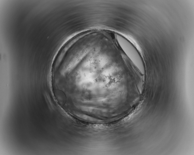 X0000093170903200710171226