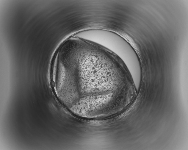 X0000093170904200710171226