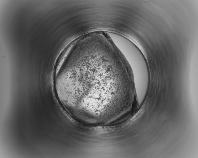 X0000093170906200710171226