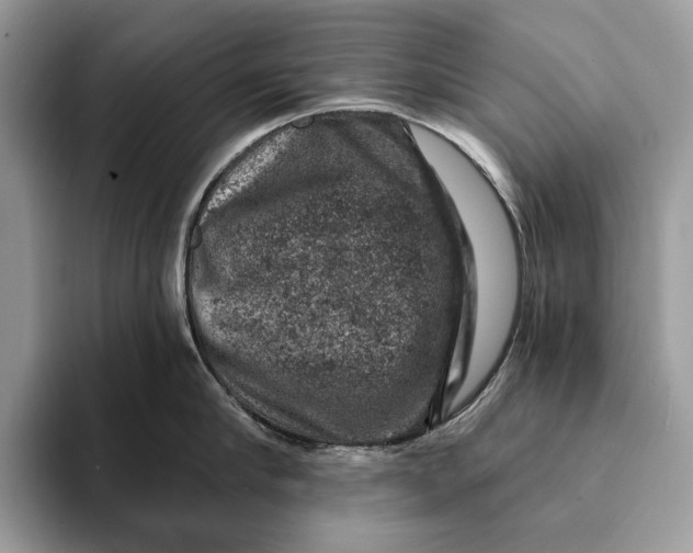 X0000093170910200710171226