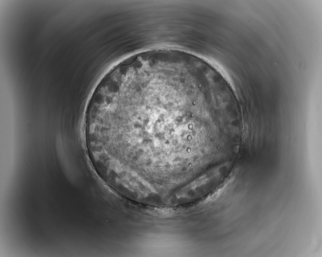 X0000093170911200710171226