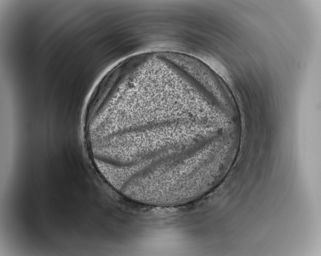 X0000093170912200710171226