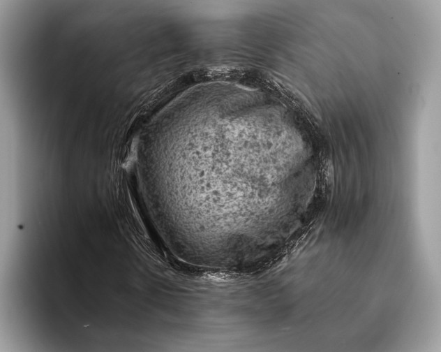 X0000093170914200710171225