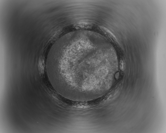 X0000093170915200710171225