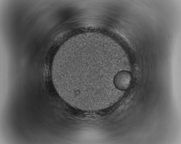 X0000093170918200710171225