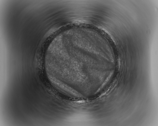 X0000093170919200710171225