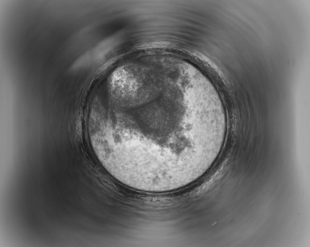 X0000093170921200710171225