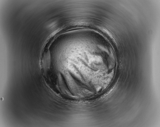 X0000093170922200710171225