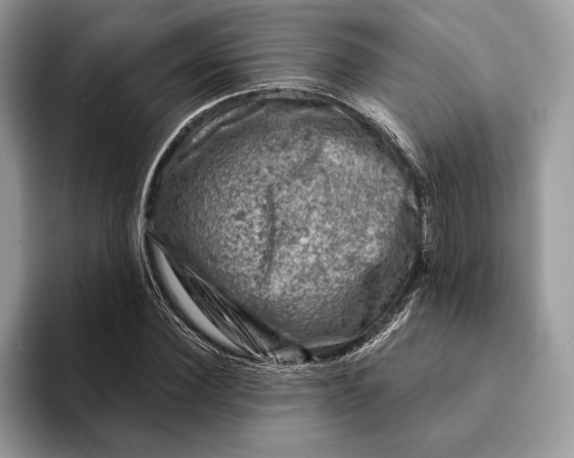 X0000093170924200710171225