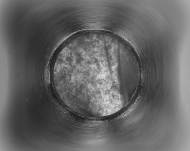 X0000093170925200710171225