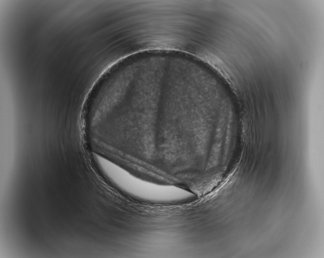 X0000093170926200710171225