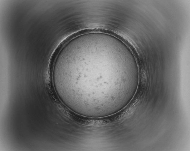 X0000093170927200710171225