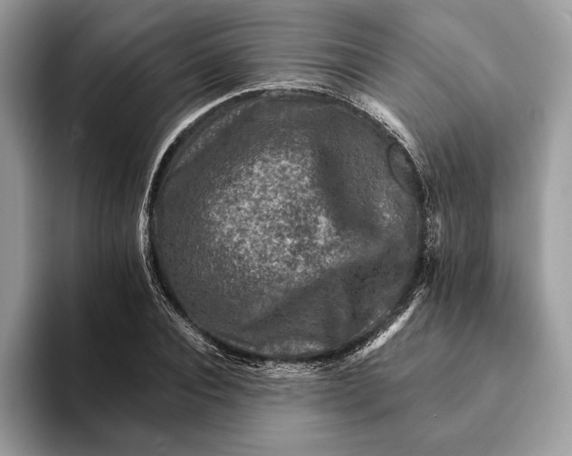 X0000093170928200710171225