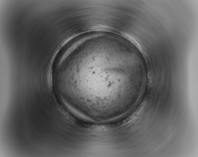 X0000093170931200710171225