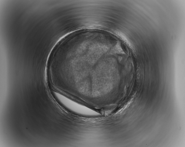 X0000093170932200710171225