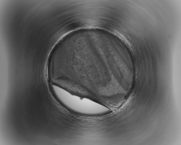 X0000093170934200710171225