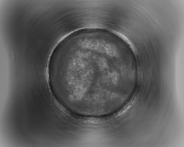 X0000093170935200710171225