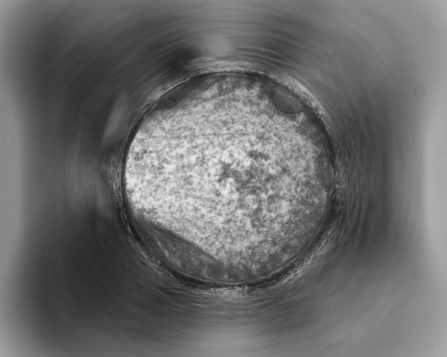 X0000093170937200710171225