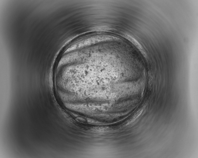 X0000093170939200710171225