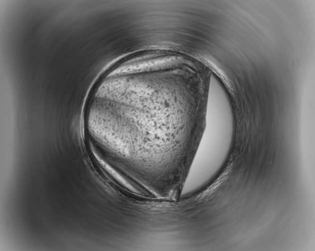 X0000093170940200710171225