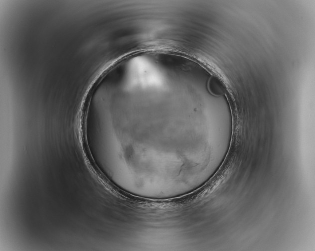 X0000093170941200710171225